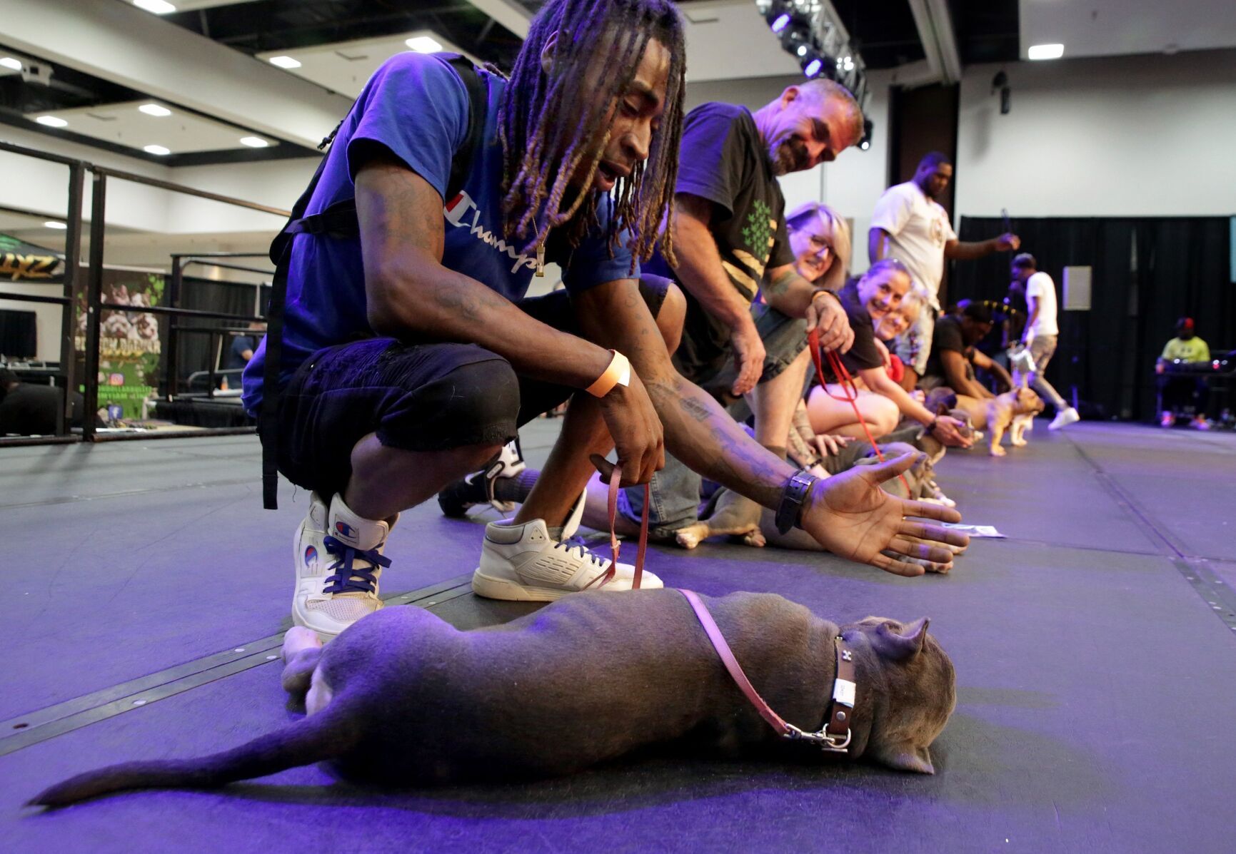Show Me Bullz Dog Show